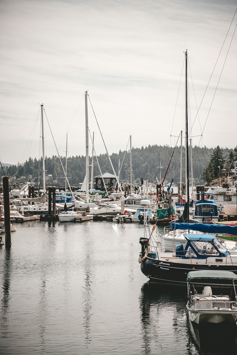 boat lot on body of water during daytime