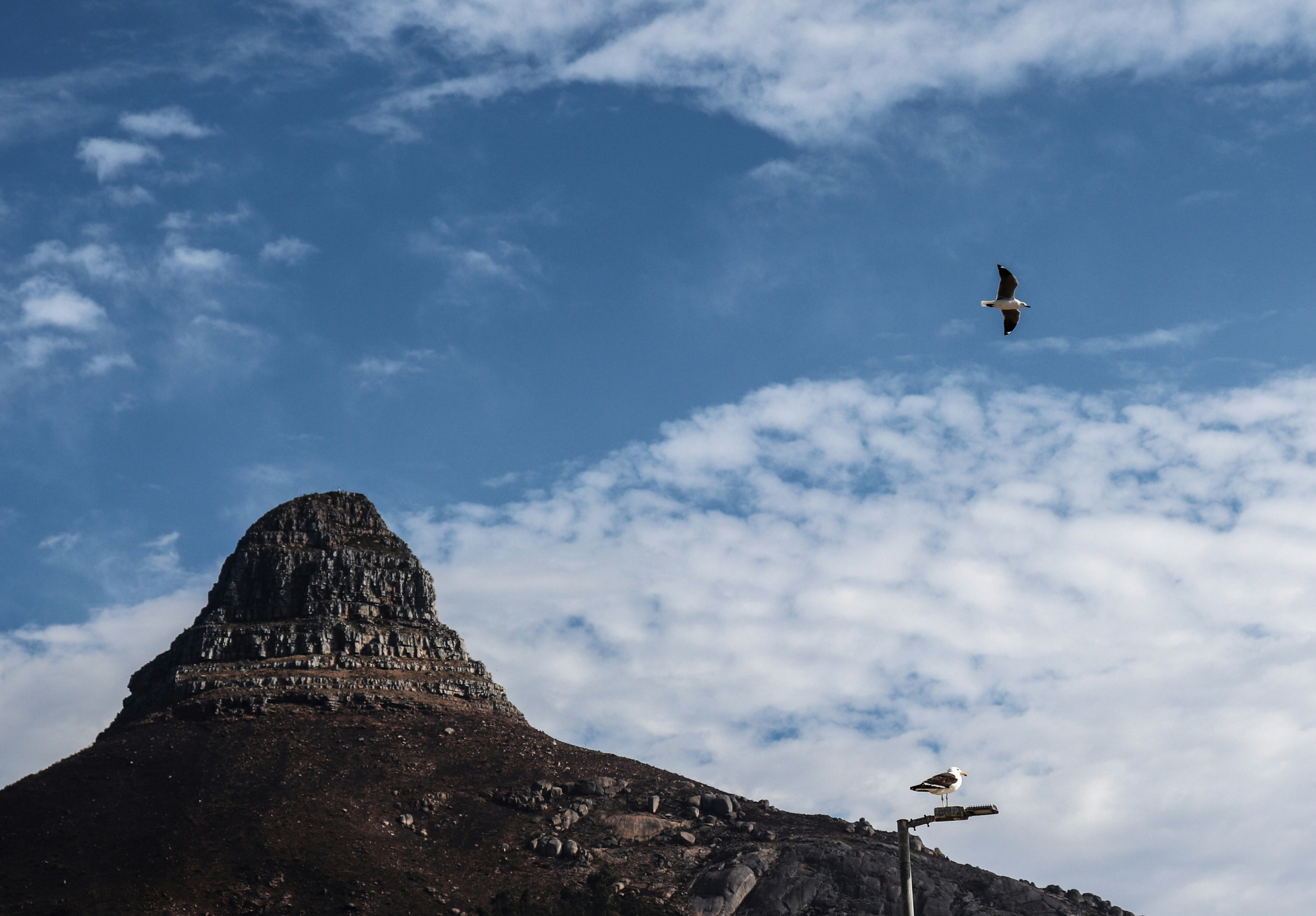 A bird flying over a mountain under a cloudy blue sky photo Free Blue