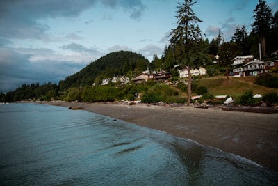 seashore during daytime zen garden google meet background