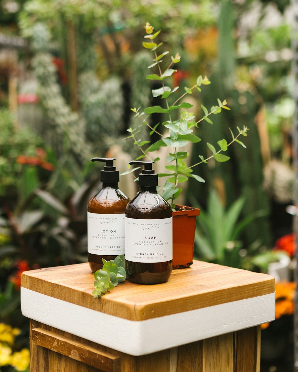 shallow focus photo of two bottles beside green plants