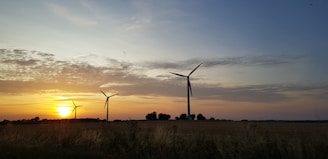 greyscale photography of wine turbine during golden hour