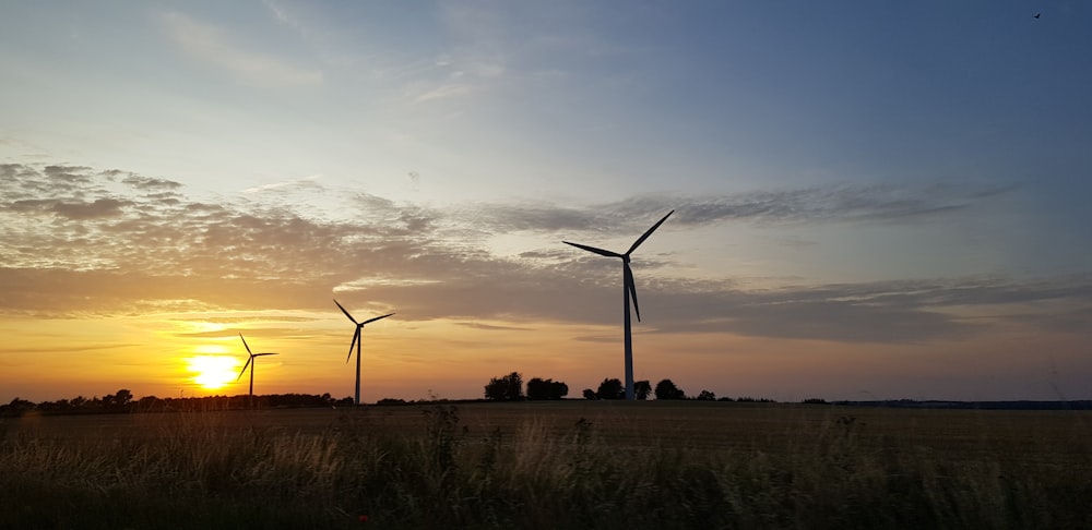 greyscale photography of wine turbine during golden hour