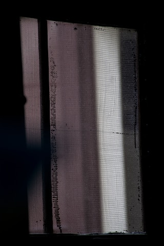 Close-up of a detailed 3D model with smooth textures and realistic shadows.