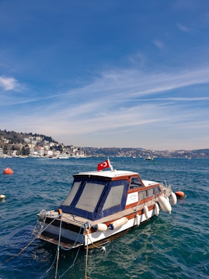 boat floating on sea