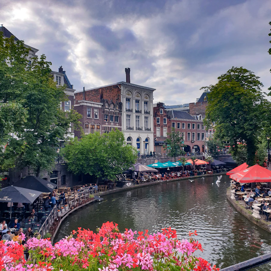 Arbo arts Utrecht