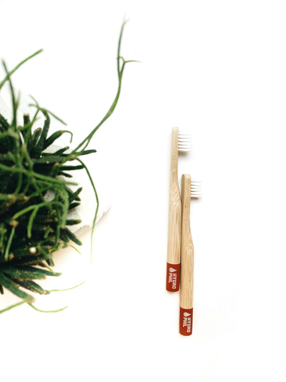 two wooden toothbrush decors