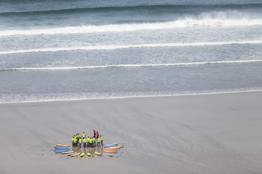 people on seashore