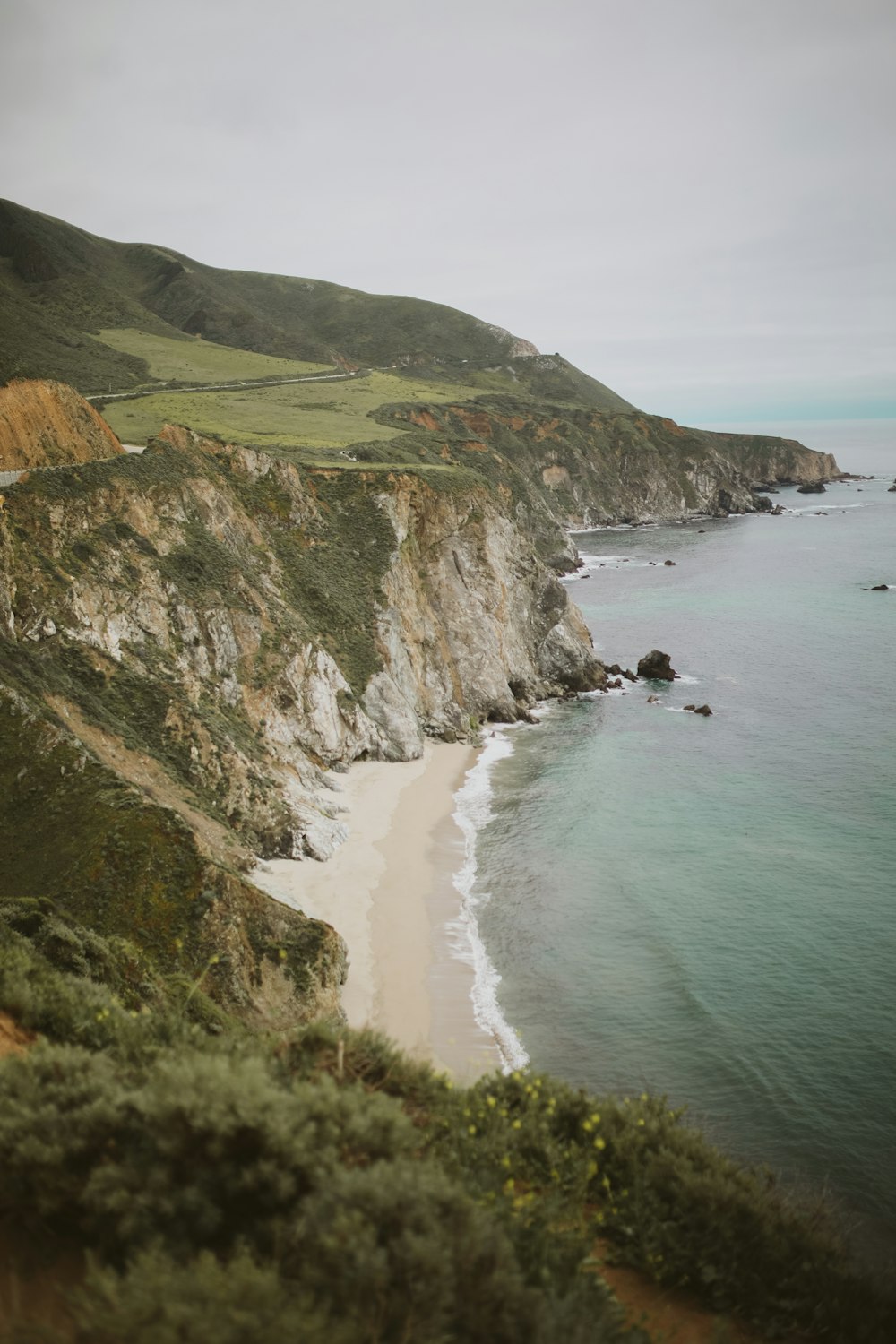 seashore during daytime