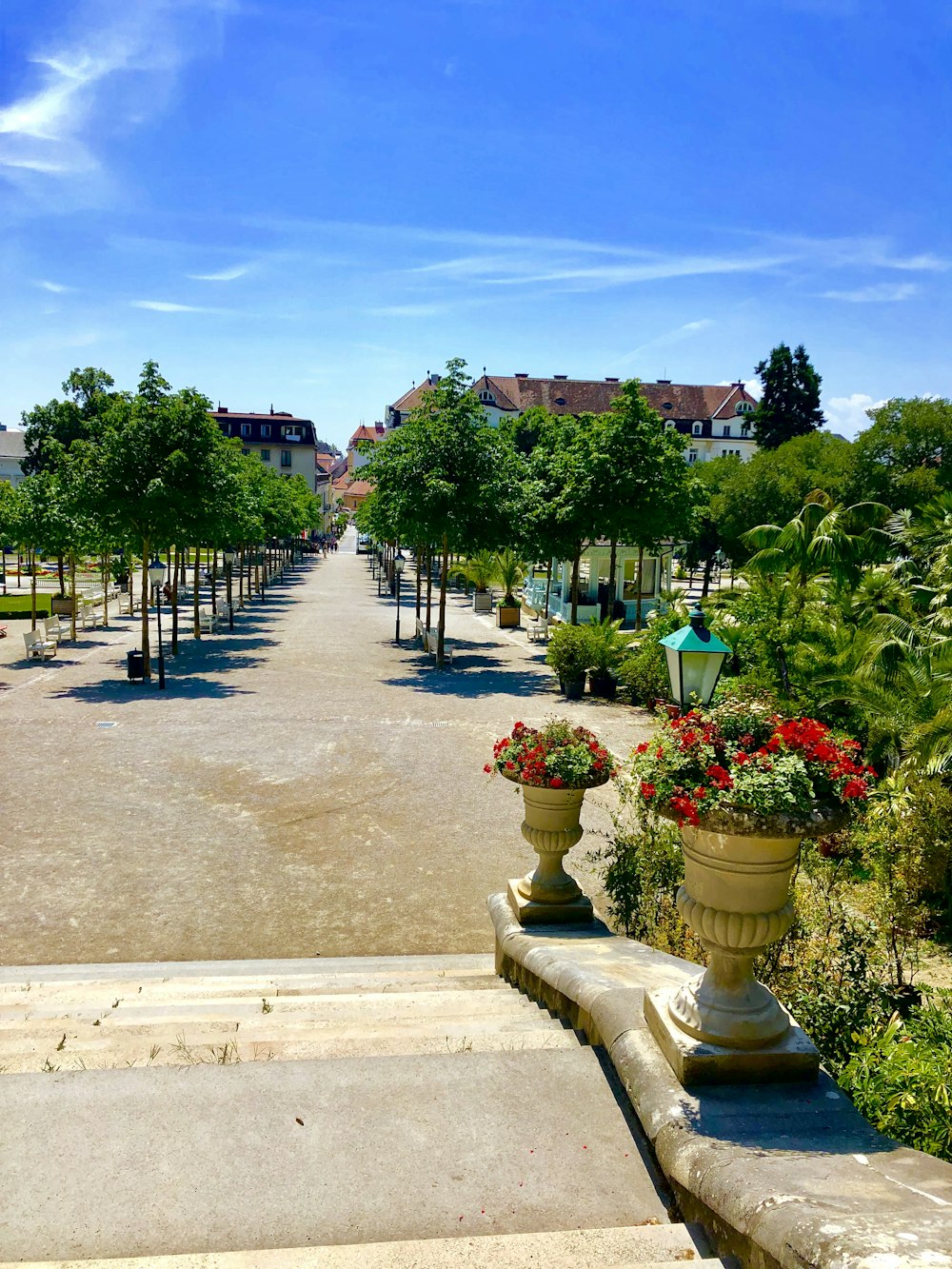 garden during daytime