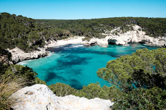 a view of a body of water surrounded by trees