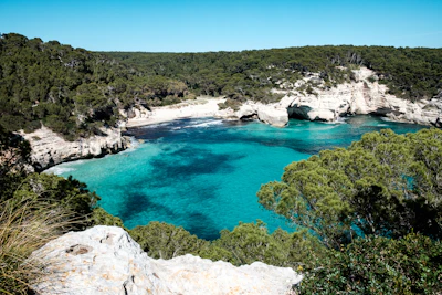a view of a body of water surrounded by trees