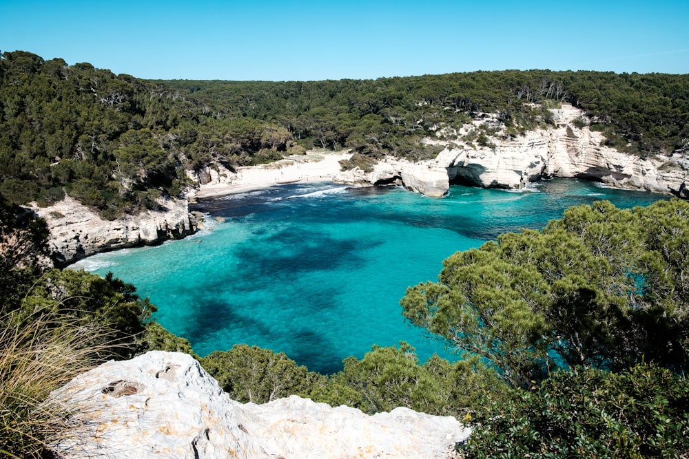 a view of a body of water surrounded by trees