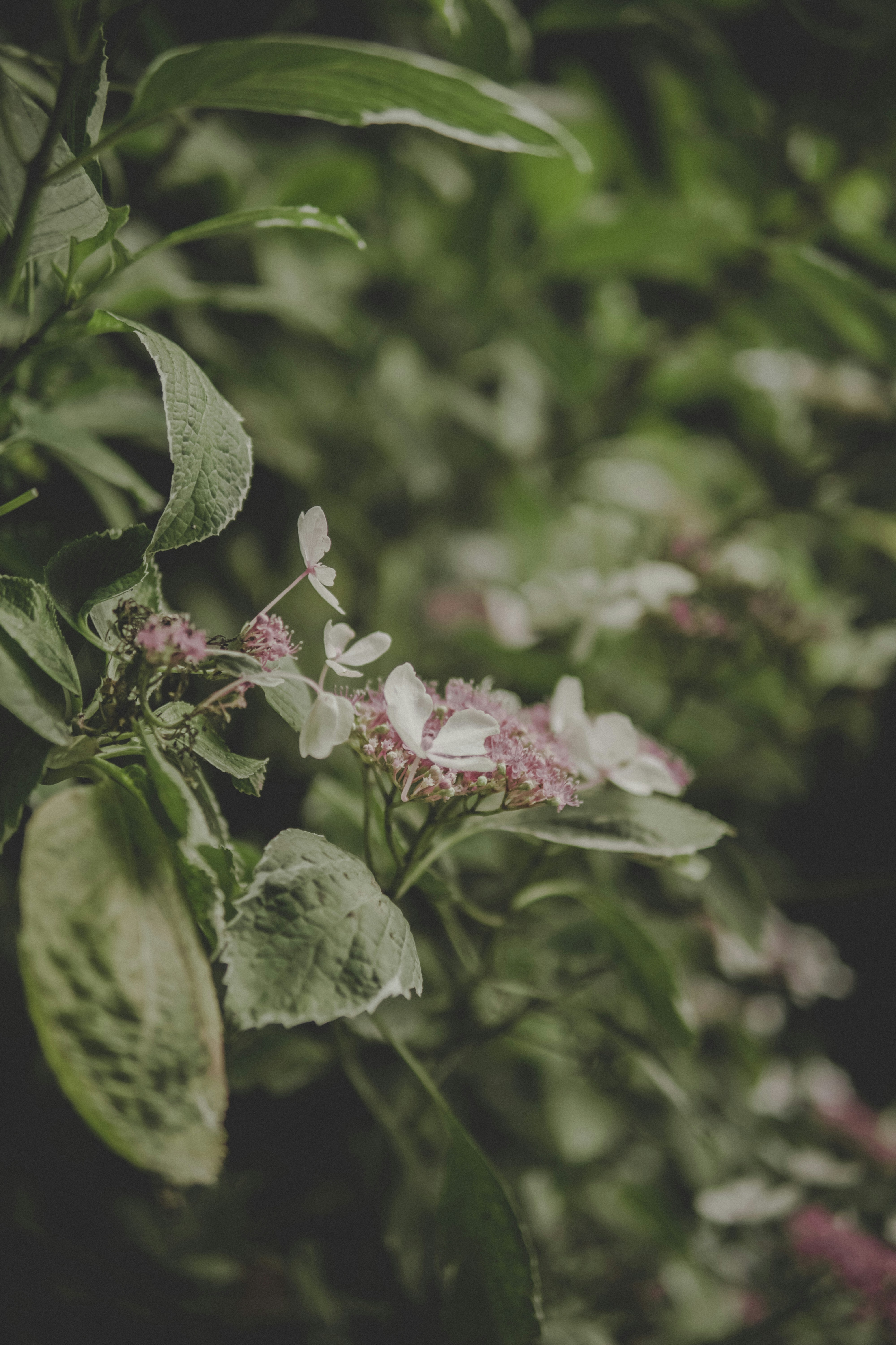 Photo by directedbyshawn