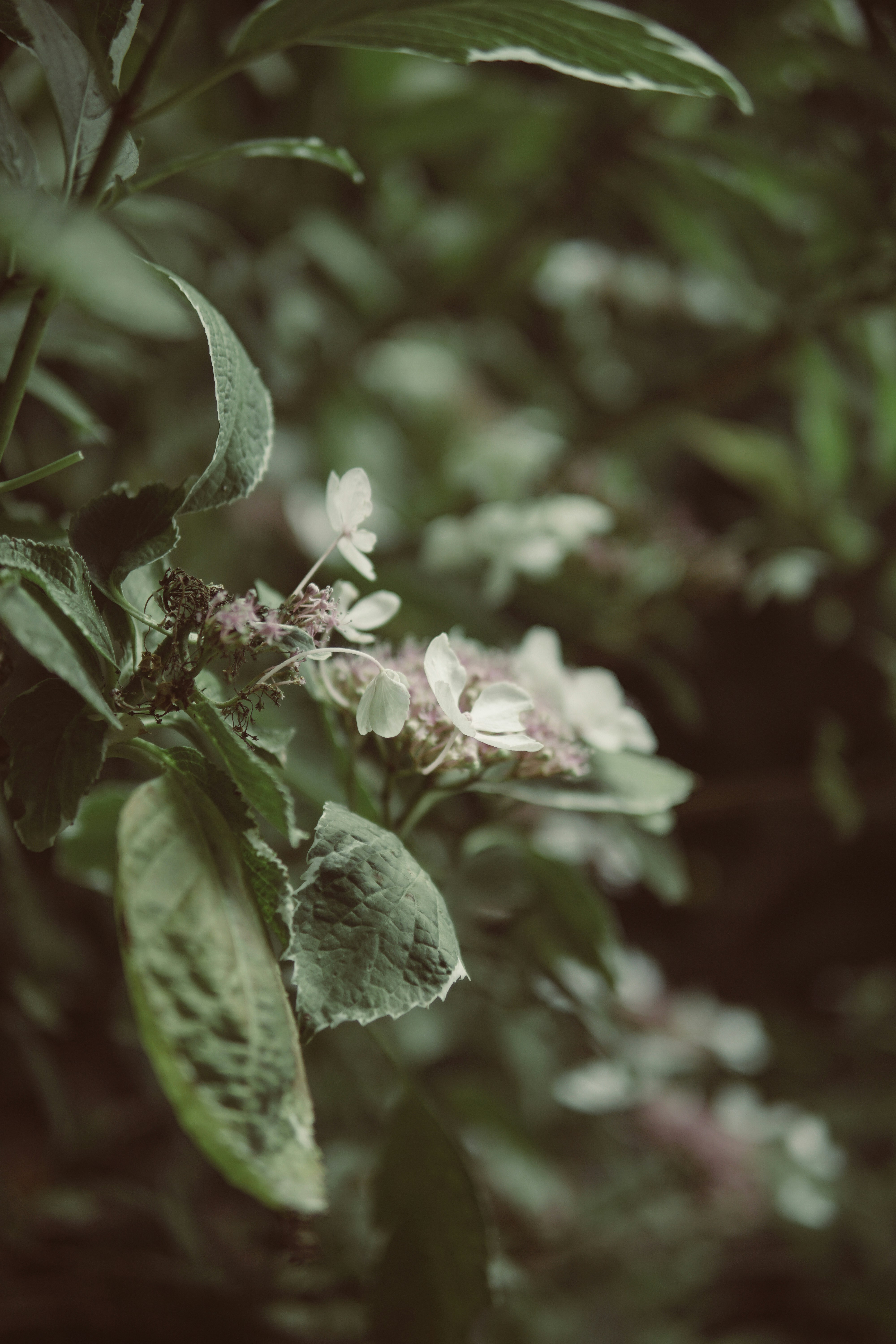 Photo by directedbyshawn