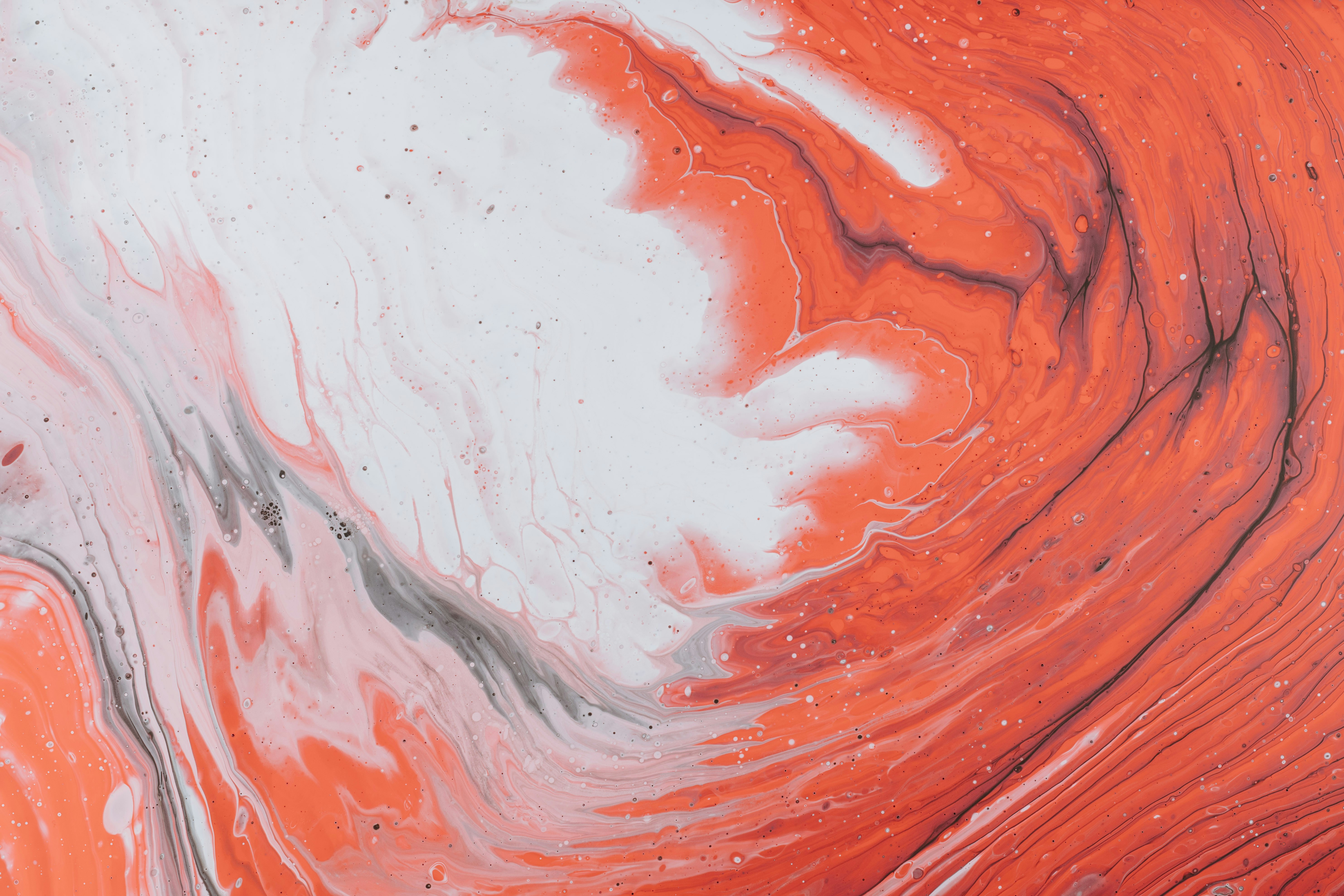 Photo by pawel_czerwinski