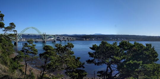 green trees beside body of water near bridge at daytime in Yaquina Bay Bridge United States