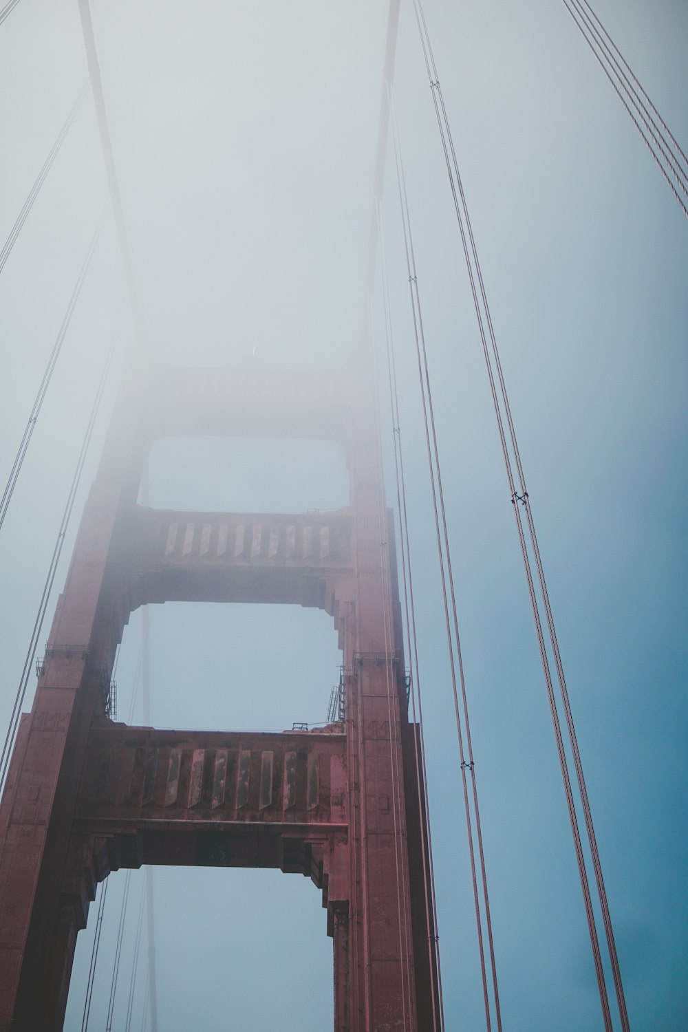 fotografia dal basso del Golden Gate Bridge durante il giorno