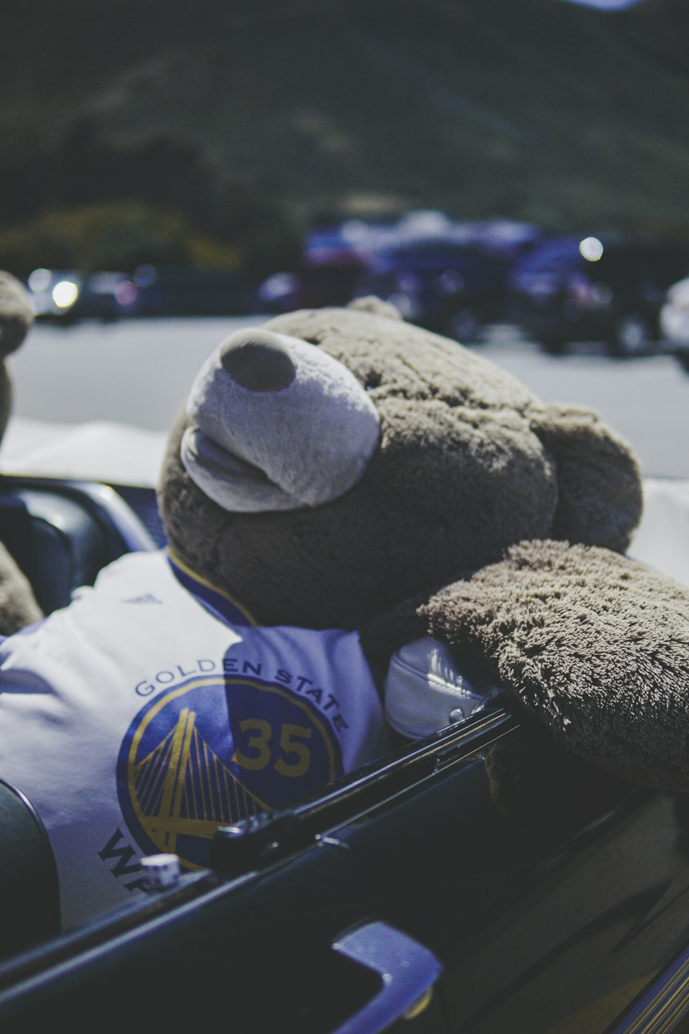 brown teddy in grey vehicle