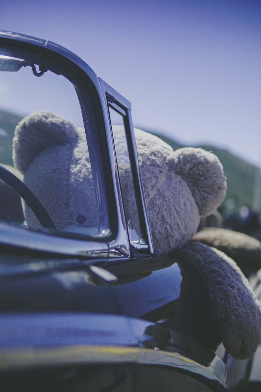 life size brown bear plush toy inside black car