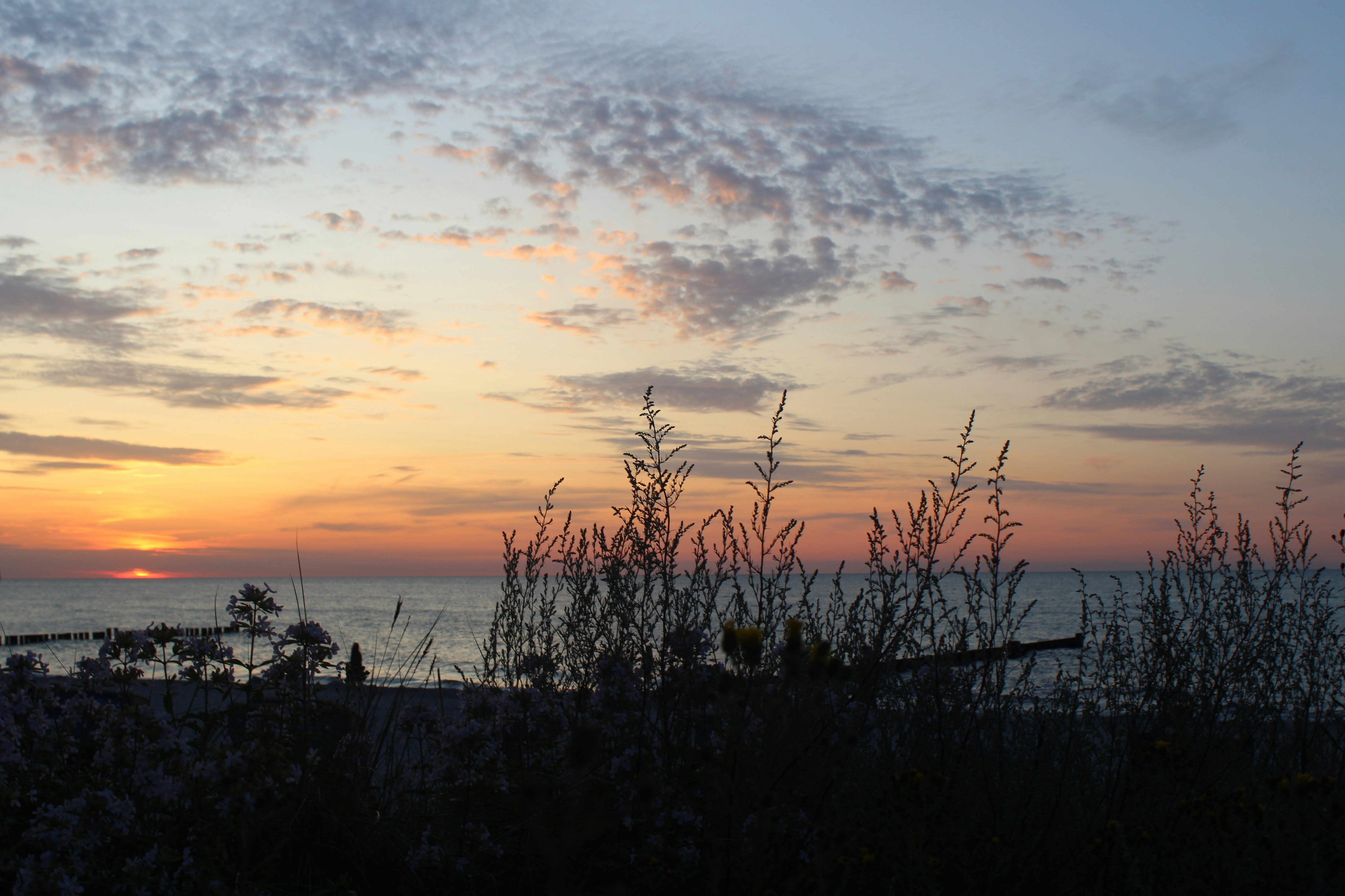 Photo by caropaulick