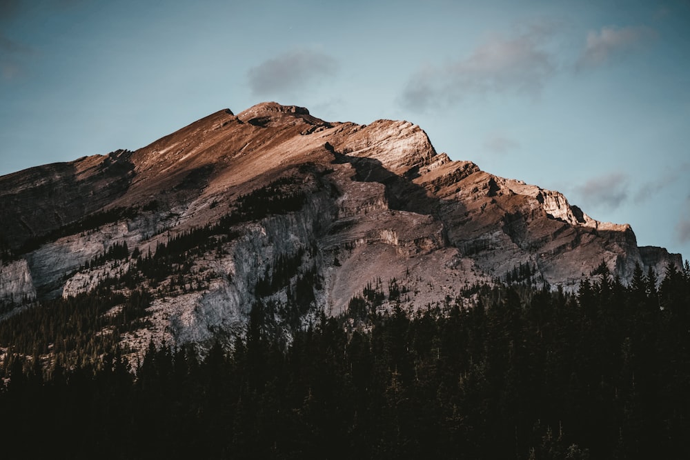 montagna grigia e marrone