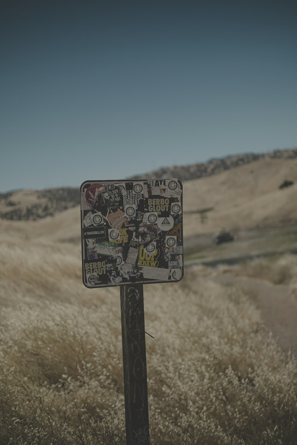 selective focus photography of multicolored signage