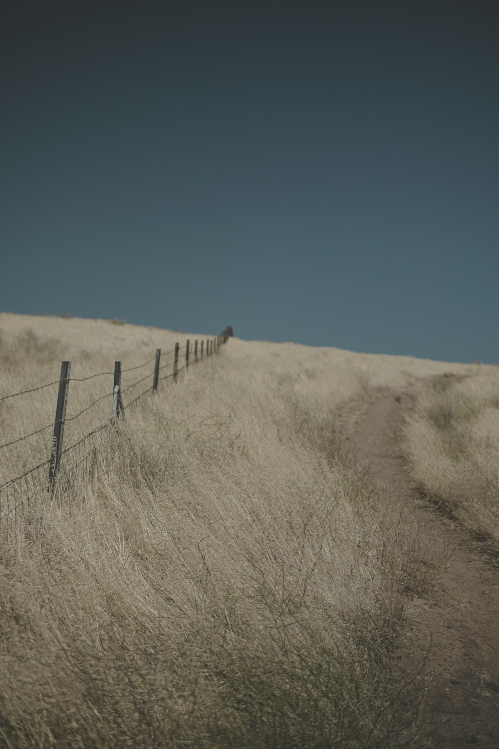 grass field during daytime