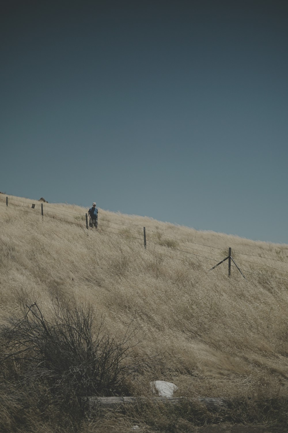 person standing near field