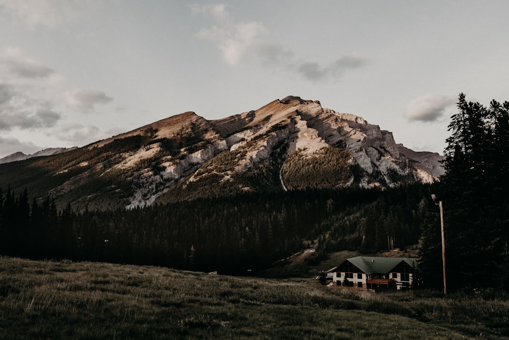 house near forest