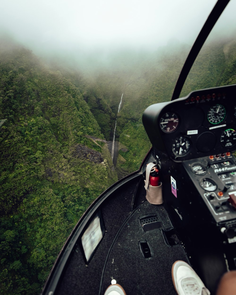 aerial photography of tree field mountain