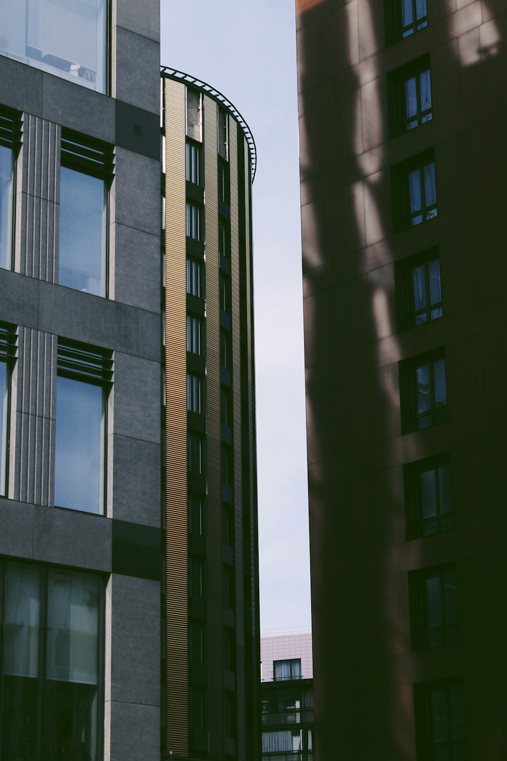 grey and brown high rise buildings