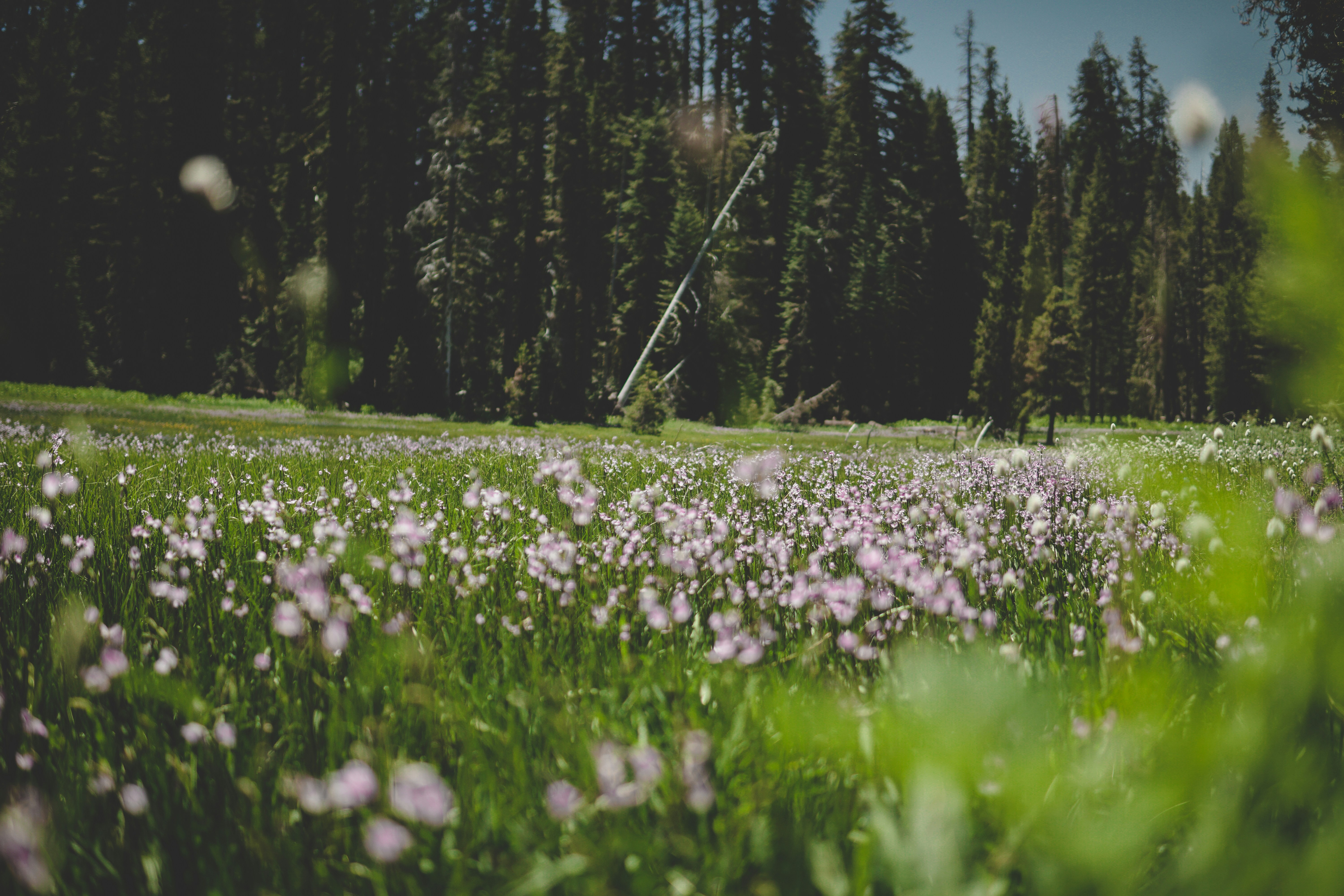 Photo by directedbyshawn