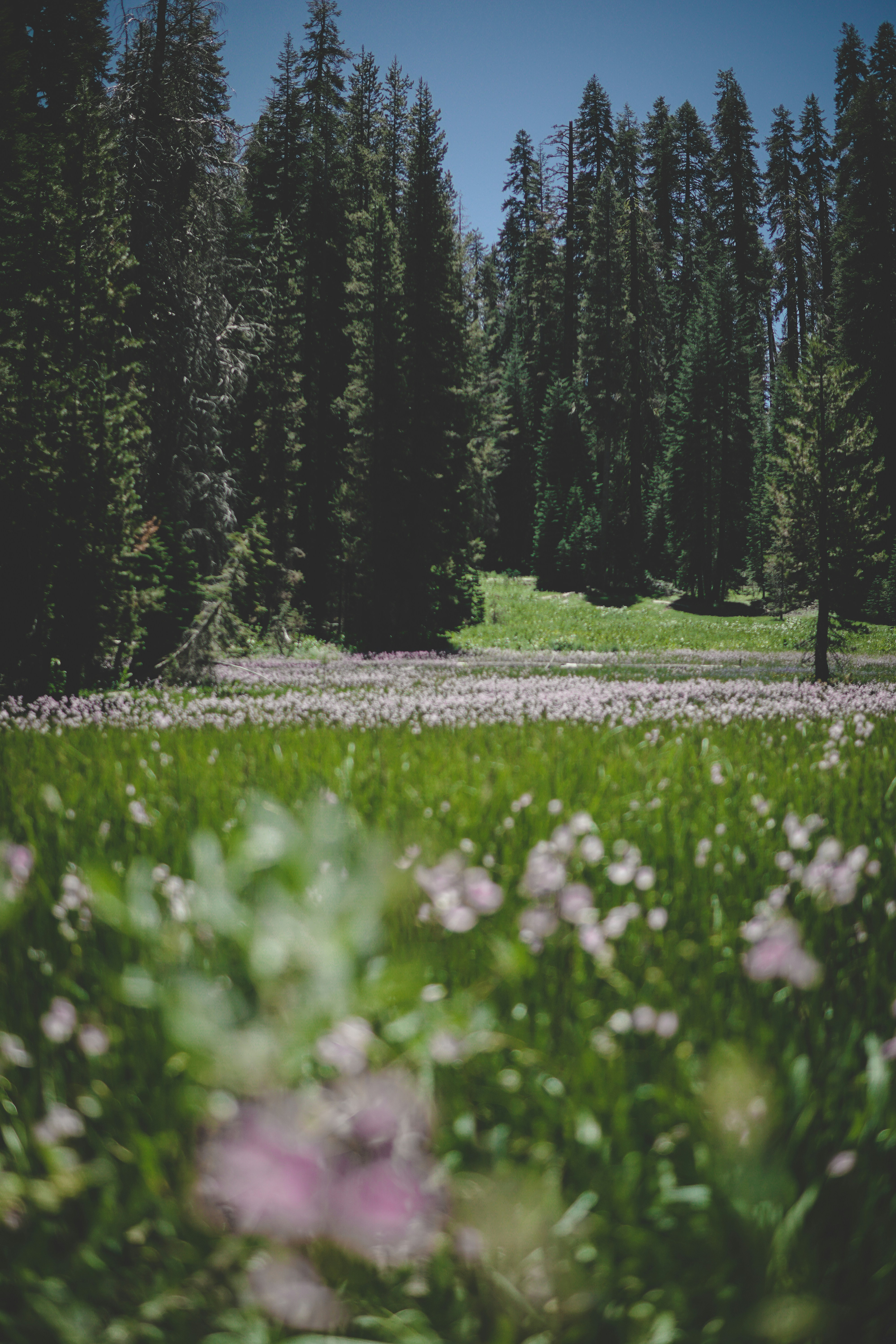 Photo by directedbyshawn