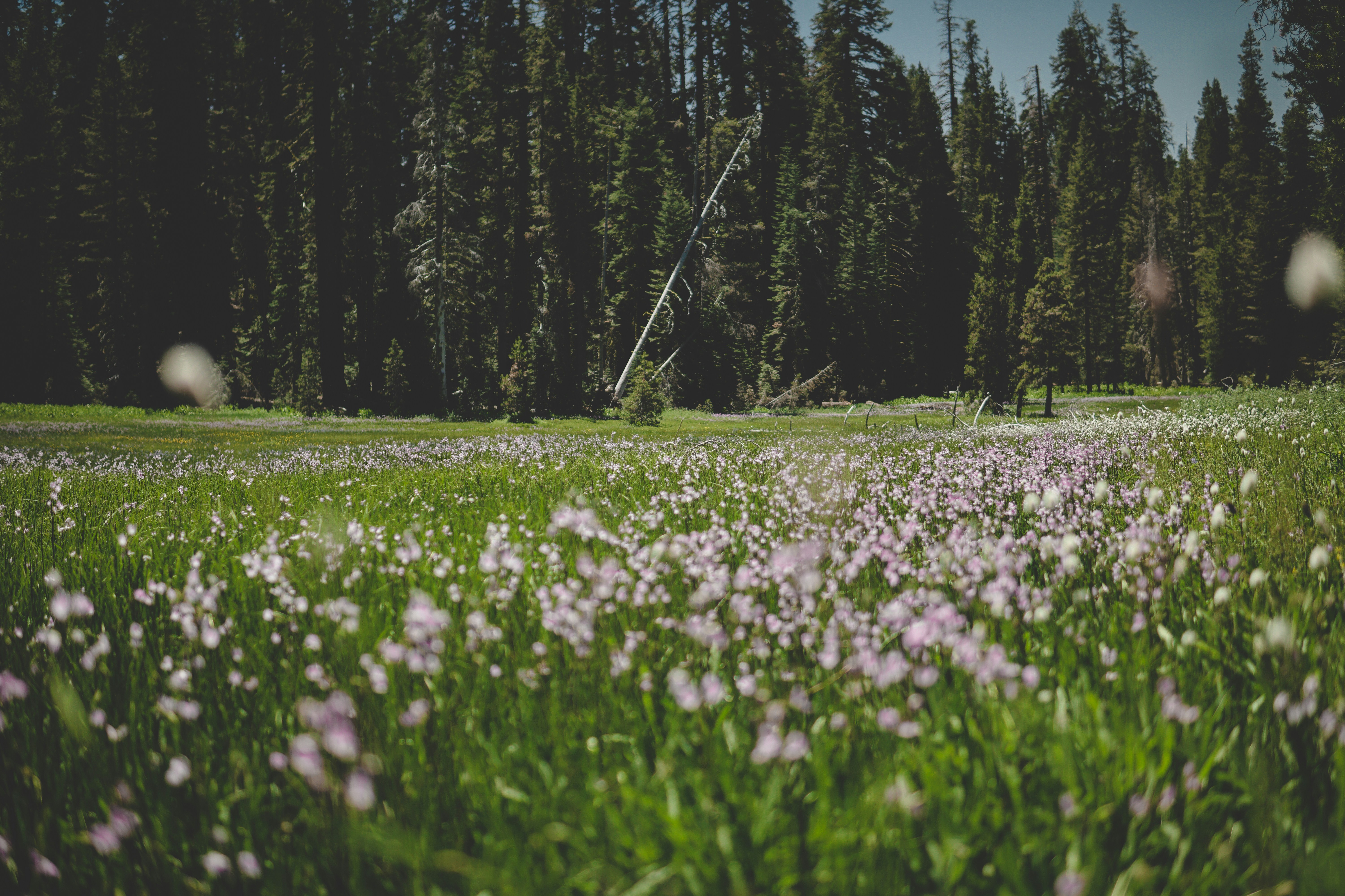 Photo by directedbyshawn