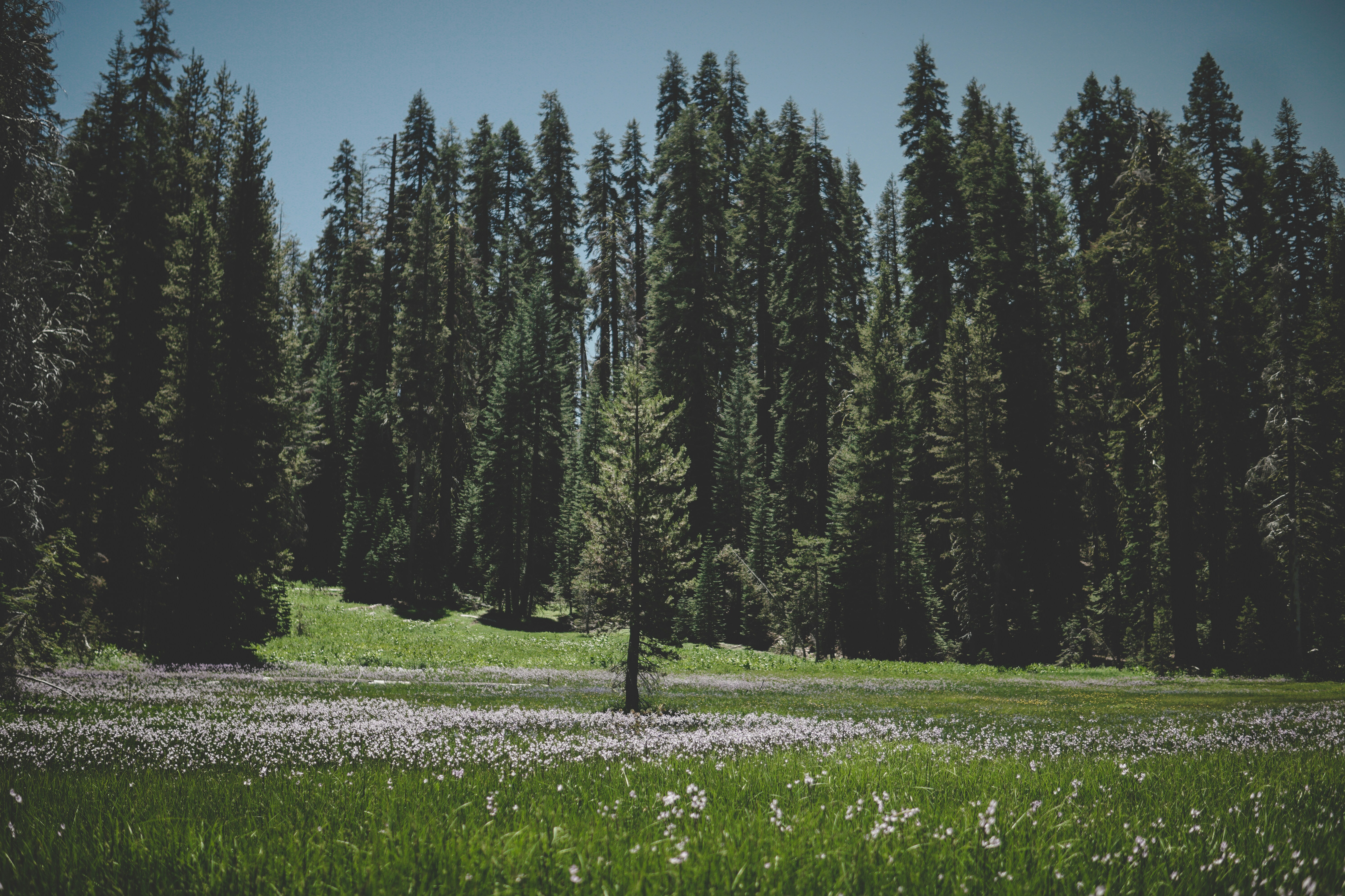 Photo by directedbyshawn