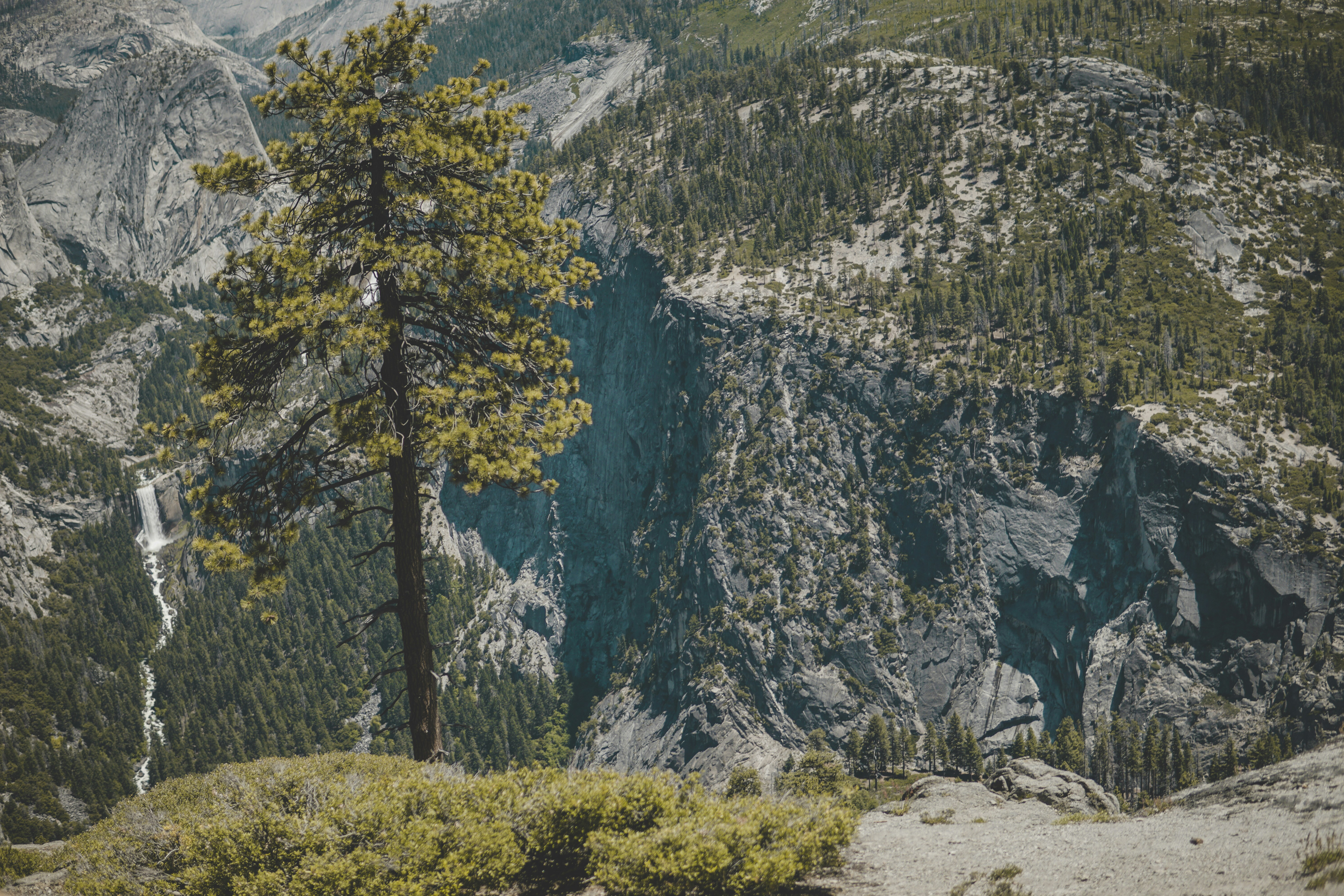 Photo by directedbyshawn