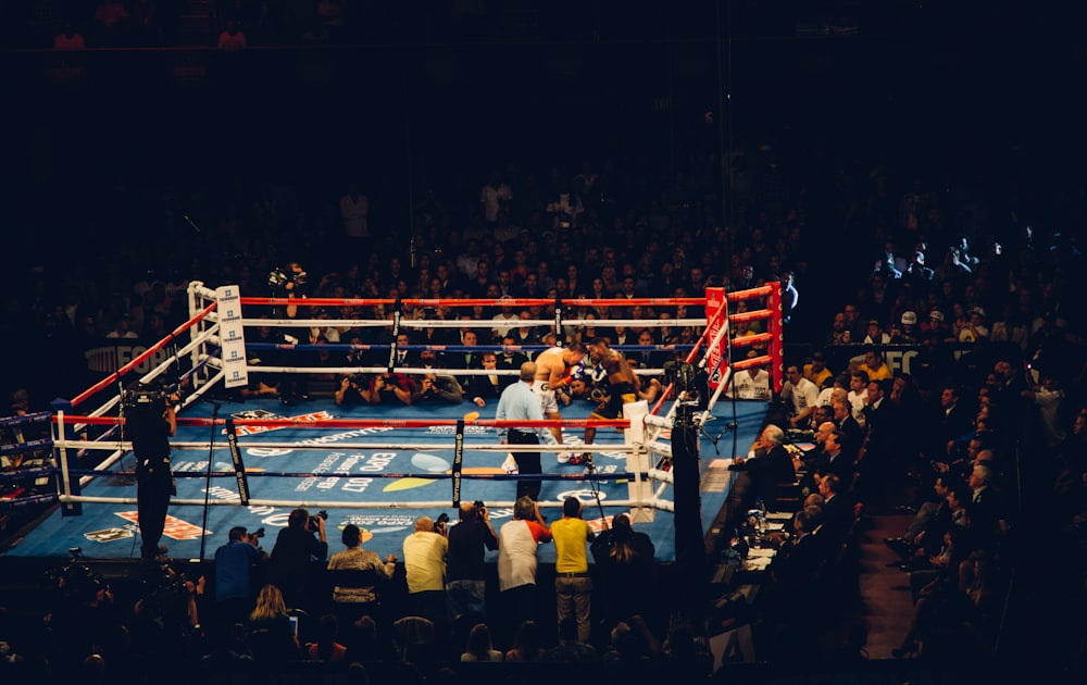 people watching boxing