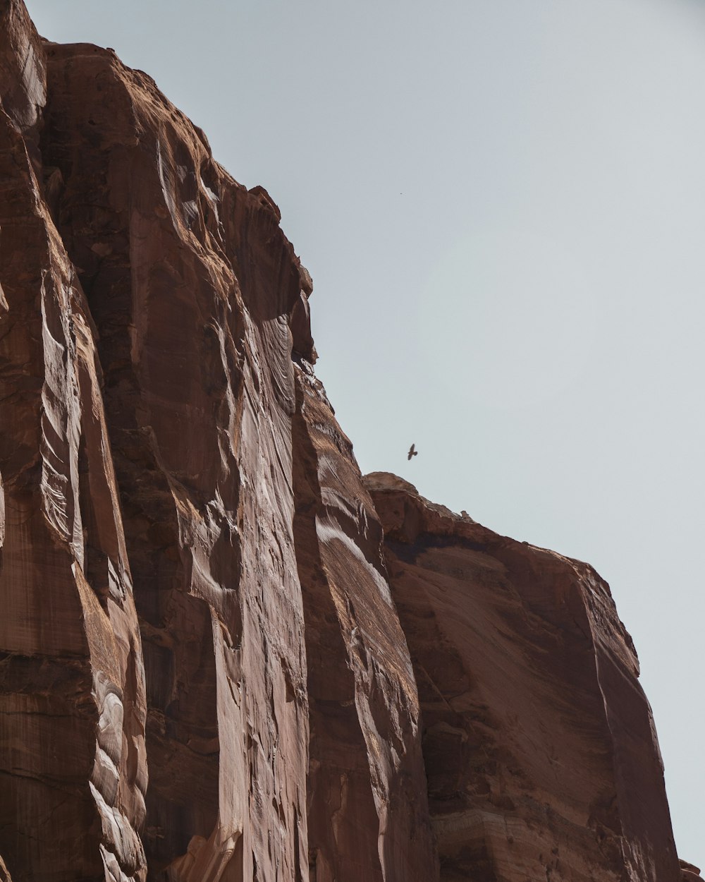 a large rock formation with a bird flying over it