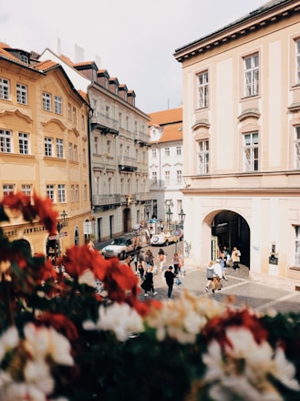 white concrete building