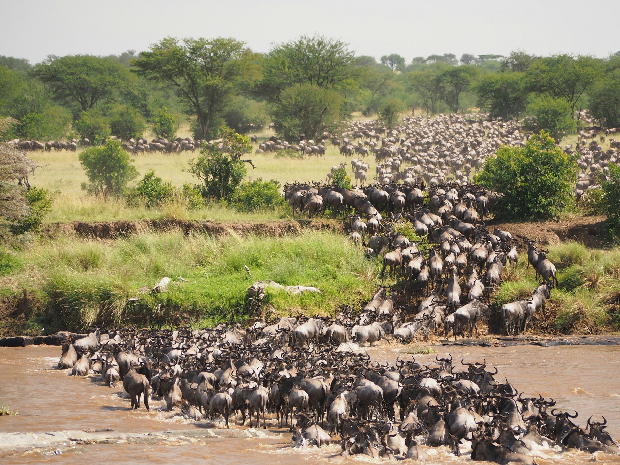 Recent Kenya journey