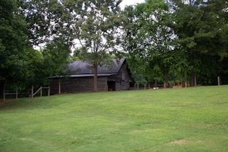 A rustic wooden barn nestled among tall, lush trees, surrounded by a well-kept green lawn. The structure has a weathered appearance, indicating age and use, and is partially shaded by the overhanging branches of the trees.
