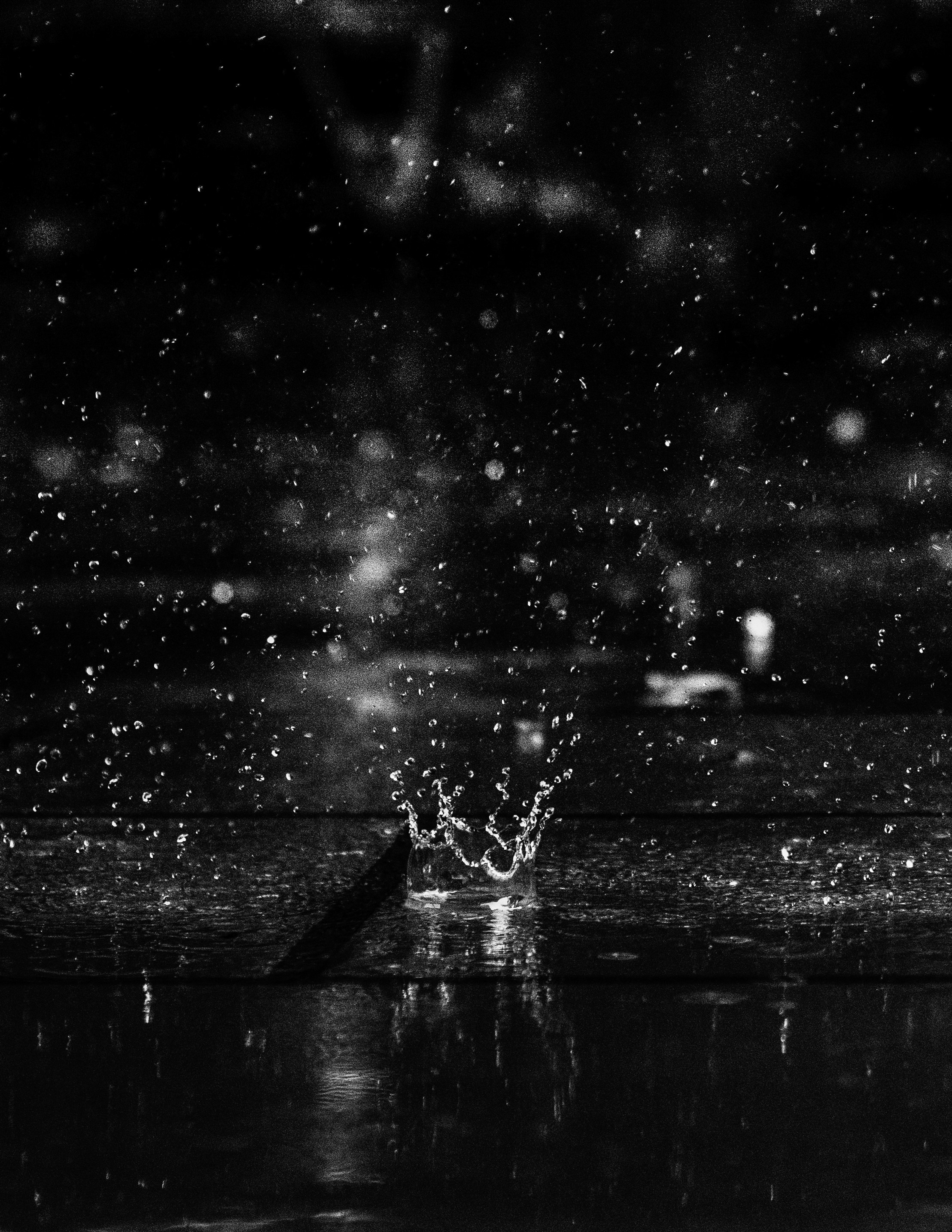 Photo by donald_tr4n