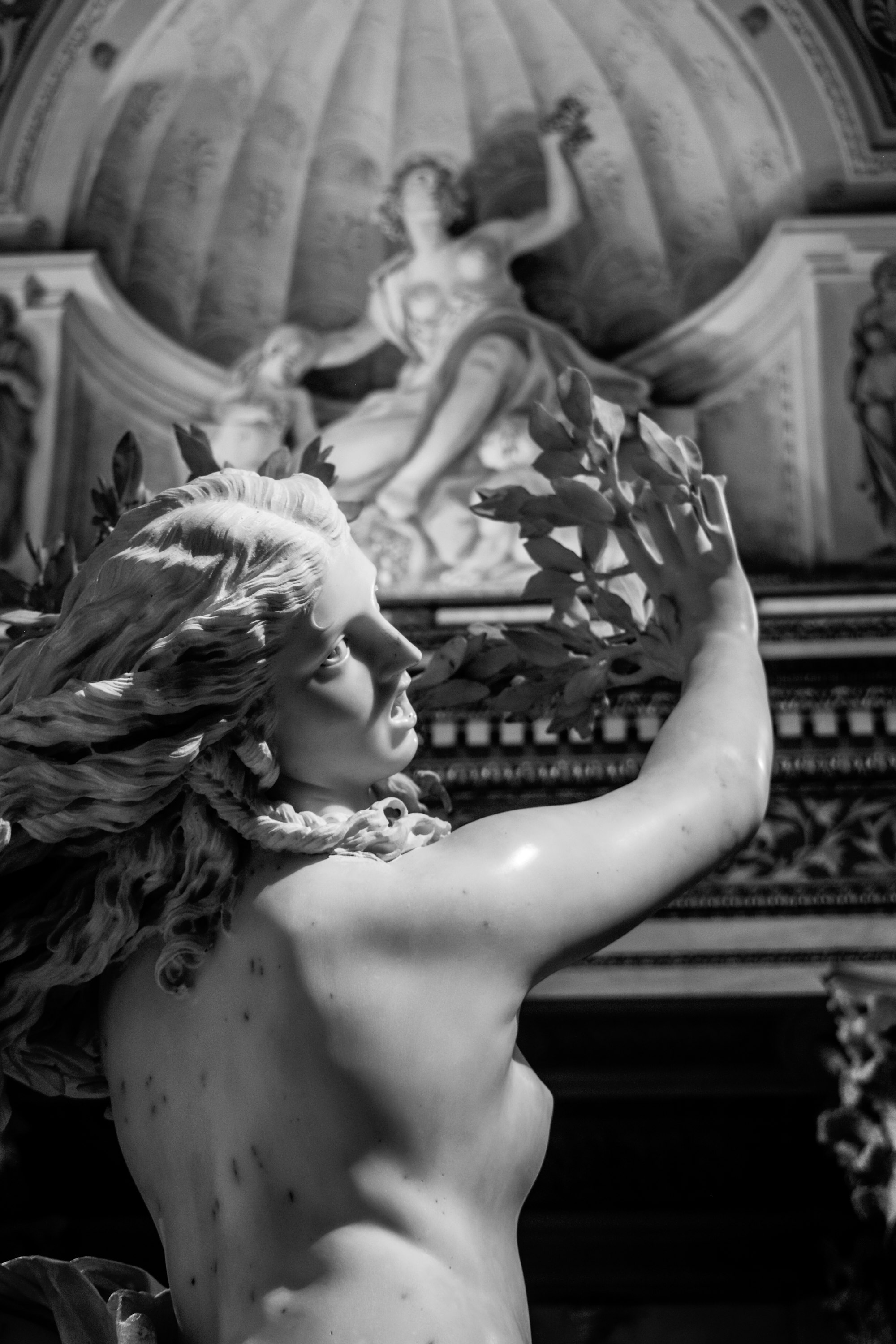 Another angle from Apollo and Daphne.You can see her hands becoming a tree branch, in answer to her prayer.
According to the mith, described in Ovidio´s Metamorphoses, Apollo, fated by Cupid's arrow, sees Daphne and is filled with wonder at her beauty. But Daphne has been fated by Cupid's love-repelling arrow and denies the love of men. She ran away and prayed, askng her father, Peneus, to destroy her beauty. Then, she became a tree.