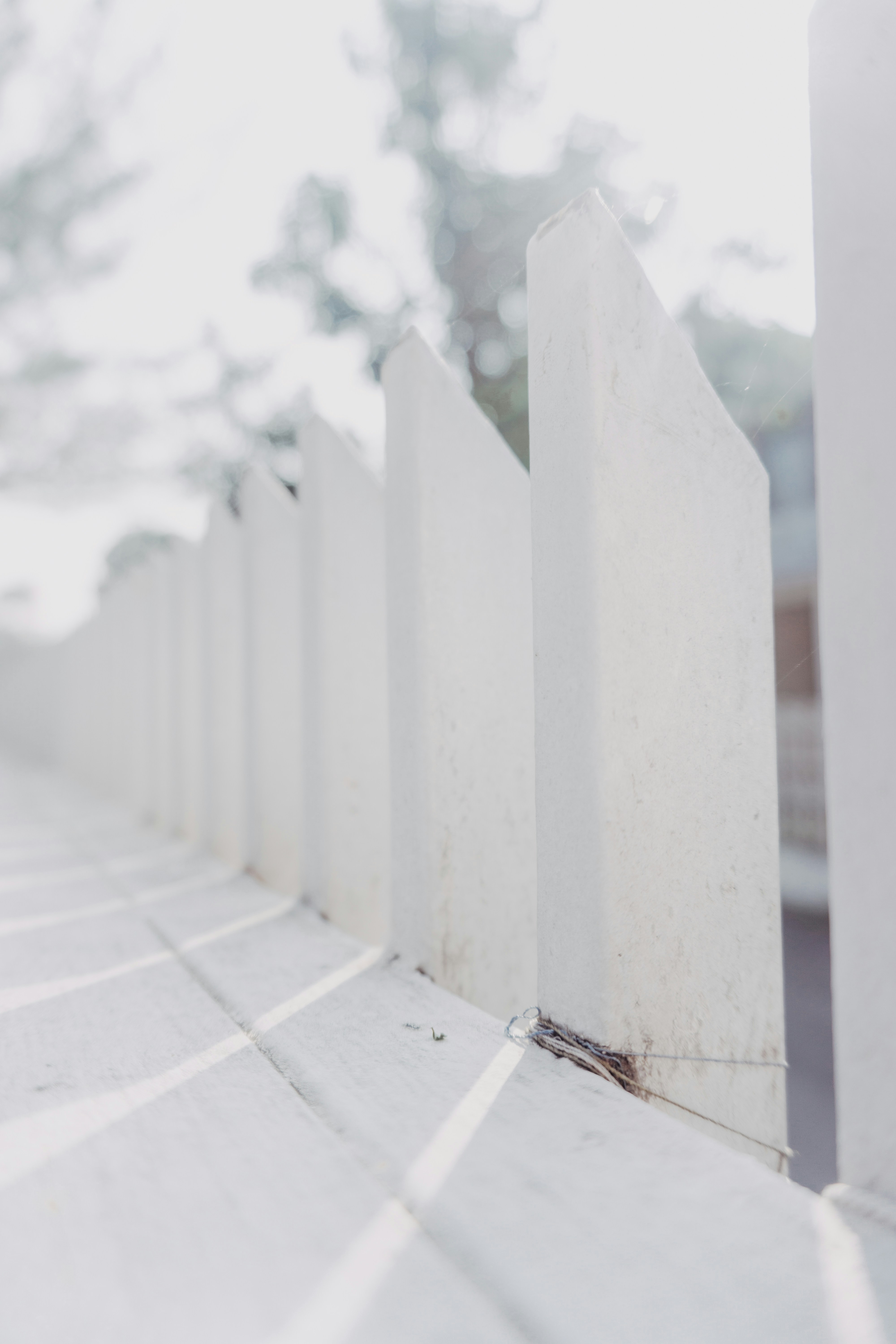 Photo by jawaberkata