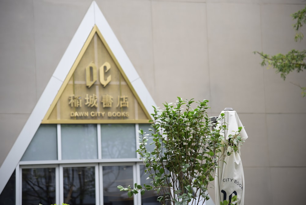 a plant in a vase outside of a building