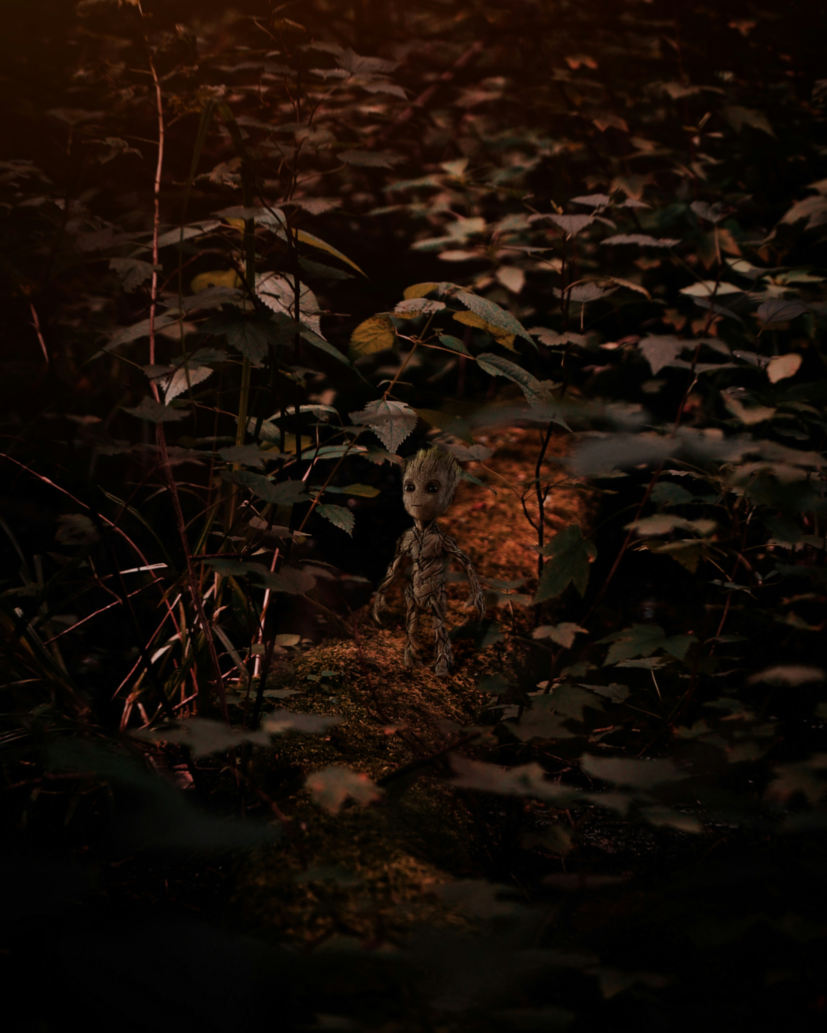 Photo by leviventura_