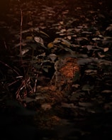 Animated character from a Zumbeeverso indie game in a vibrant forest setting.