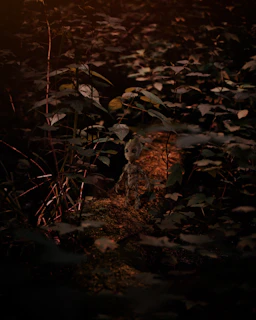 An adventurous character exploring a lush, detailed open-world forest.