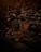A small humanoid figure resembling a tree sapling stands in a lush forest clearing. Surrounded by dense foliage, the scene is dimly lit with warm, earthy tones. The character has a wooden texture and expressive eyes, blending naturally into the forest environment.