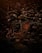 A small humanoid figure resembling a tree sapling stands in a lush forest clearing. Surrounded by dense foliage, the scene is dimly lit with warm, earthy tones. The character has a wooden texture and expressive eyes, blending naturally into the forest environment.